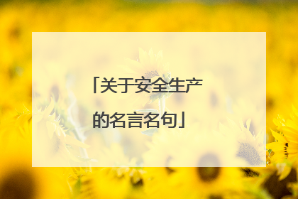 关于安全生产的名言名句