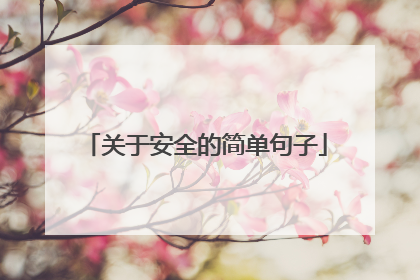关于安全的简单句子