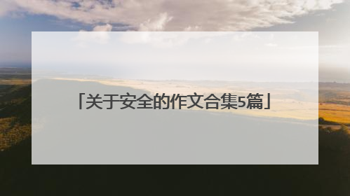 关于安全的作文合集5篇