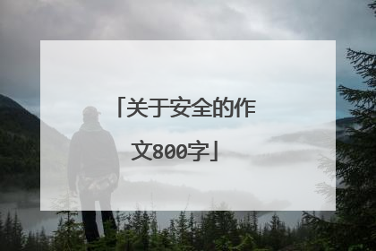 关于安全的作文800字