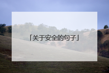 关于安全的句子