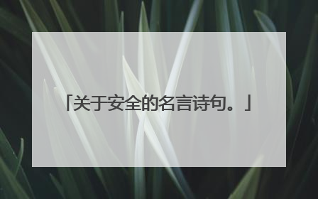 关于安全的名言诗句。