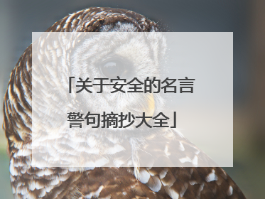 关于安全的名言警句摘抄大全