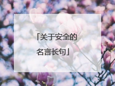 关于安全的名言长句