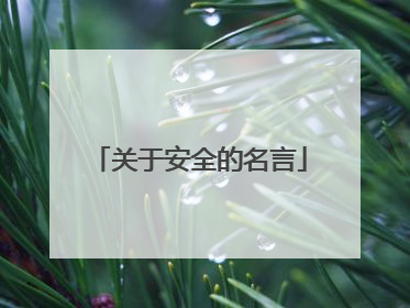 关于安全的名言