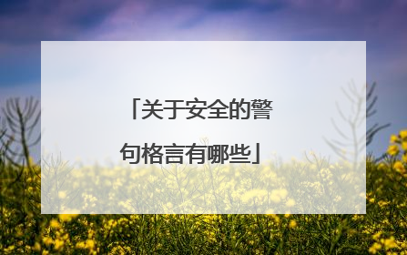关于安全的警句格言有哪些