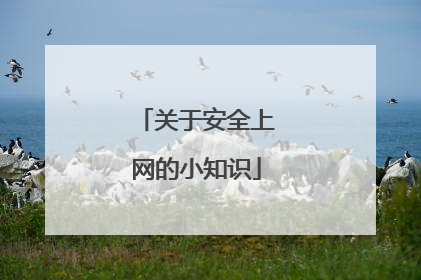 关于安全上网的小知识