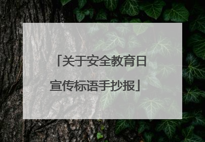 关于安全教育日宣传标语手抄报