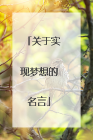 关于实现梦想的名言