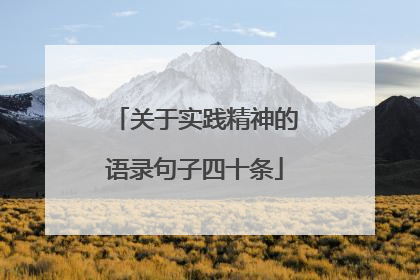 关于实践精神的语录句子四十条