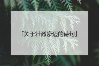关于壮烈豪迈的诗句