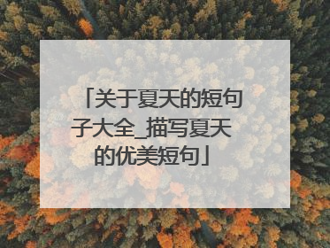 关于夏天的短句子大全_描写夏天的优美短句