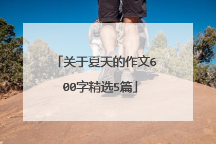 关于夏天的作文600字精选5篇
