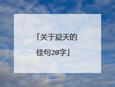 关于夏天的佳句20字