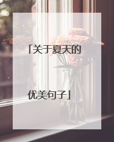 关于夏天的优美句子