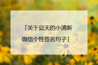 关于夏天的小清新微信个性签名句子