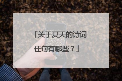 关于夏天的诗词佳句有哪些?