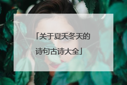 关于夏天冬天的诗句古诗大全