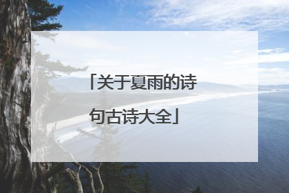 关于夏雨的诗句古诗大全