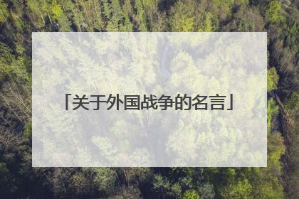 关于外国战争的名言