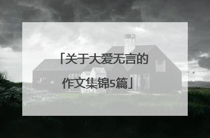 关于大爱无言的作文集锦5篇