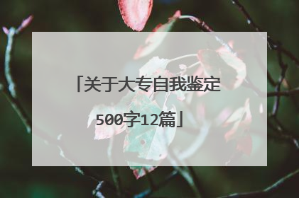 关于大专自我鉴定500字12篇
