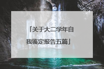 关于大二学年自我鉴定报告五篇