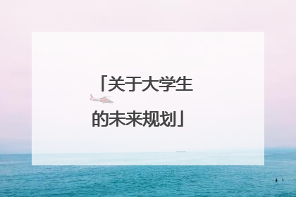 关于大学生的未来规划