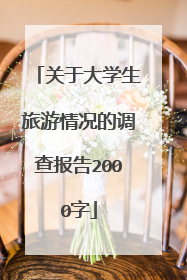 关于大学生旅游情况的调查报告2000字