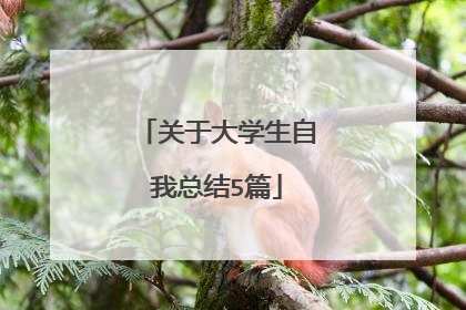 关于大学生自我总结5篇