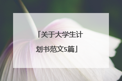 关于大学生计划书范文5篇