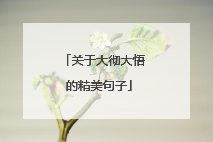 关于大彻大悟的精美句子