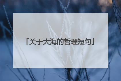 关于大海的哲理短句