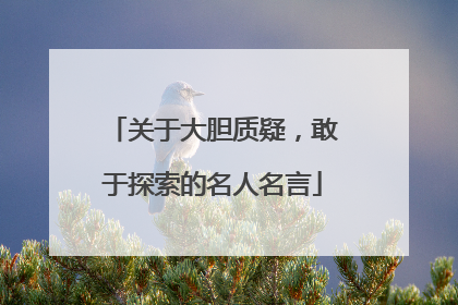 关于大胆质疑,敢于探索的名人名言