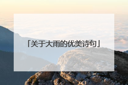 关于大雨的优美诗句