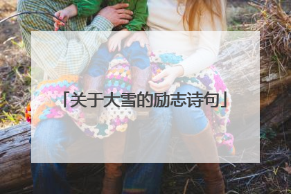 关于大雪的励志诗句