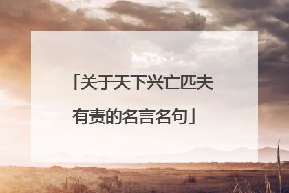 关于天下兴亡匹夫有责的名言名句