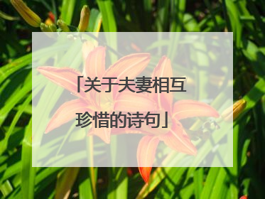 关于夫妻相互珍惜的诗句