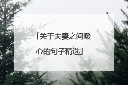 关于夫妻之间暖心的句子精选