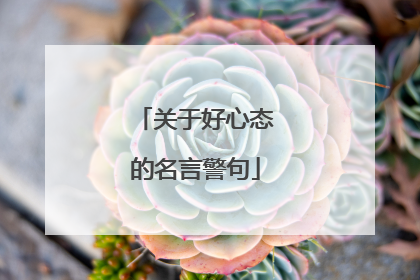 关于好心态的名言警句