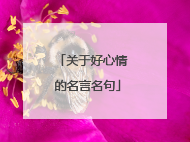 关于好心情的名言名句