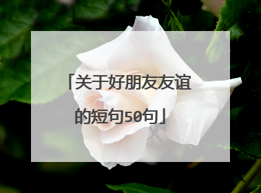 关于好朋友友谊的短句50句