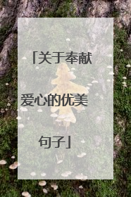 关于奉献爱心的优美句子
