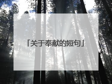 关于奉献的短句