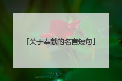 关于奉献的名言短句