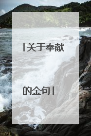 关于奉献的金句