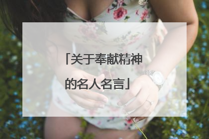 关于奉献精神的名人名言