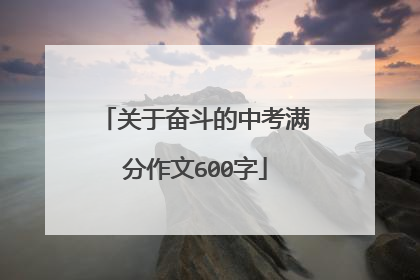 关于奋斗的中考满分作文600字