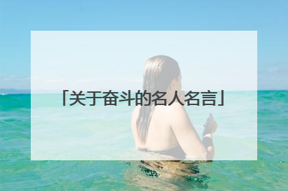关于奋斗的名人名言