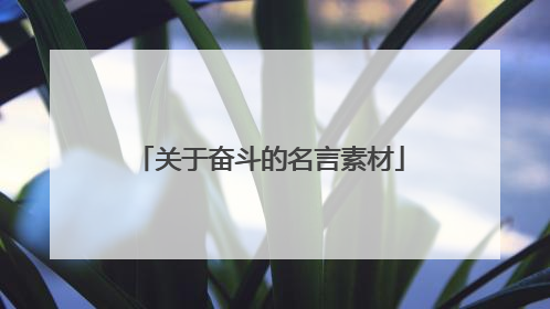 关于奋斗的名言素材